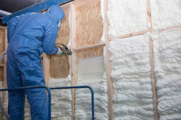 Best Basement Insulation in Pulaski, WI